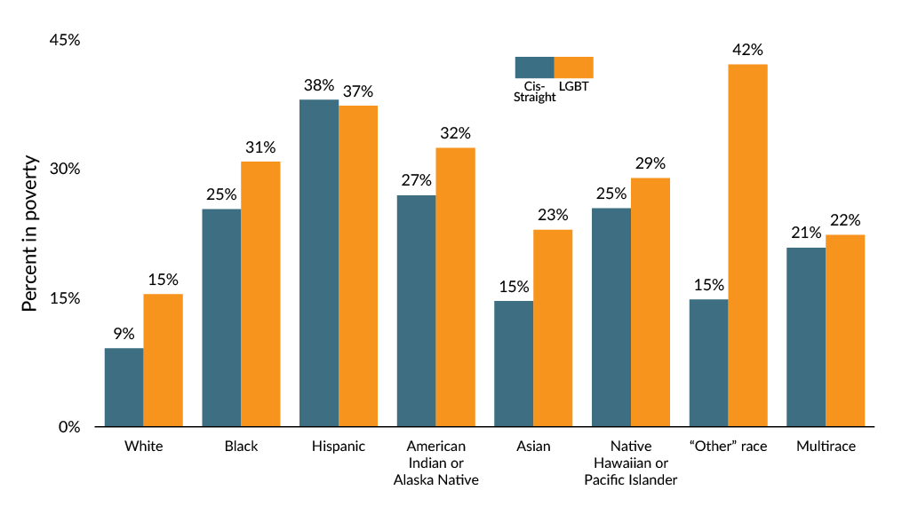 Graph showing poverty among LGBT people by race or ethnic group.